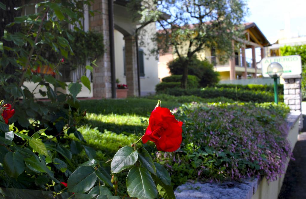 Albergo La Quiete Desenzano del Garda Eksteriør billede